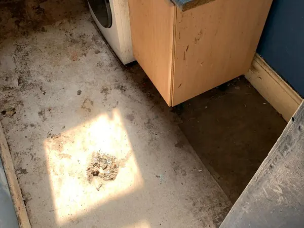 The same house emptied room by room