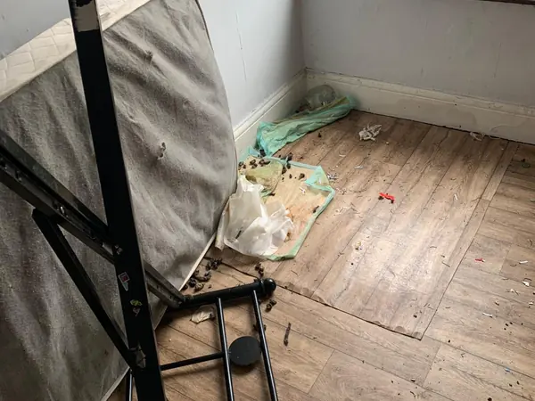 Cluttered house before clearance