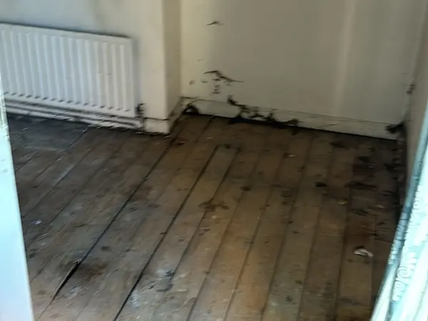 The same rooms emptied down to the floor