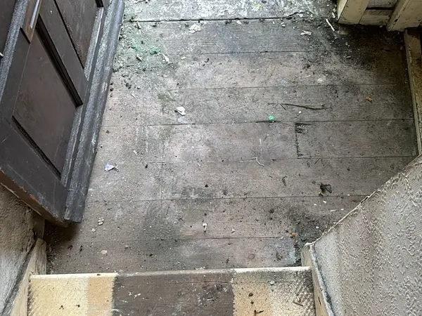 The same rooms emptied down to the floor