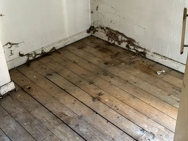 The same rooms emptied down to the floor