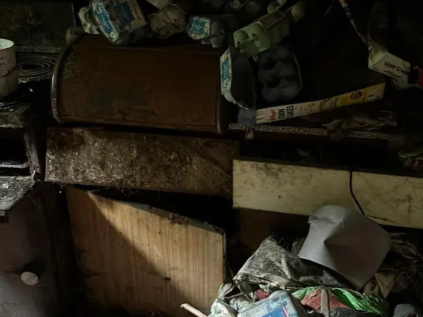 Fire-damaged house before clearance