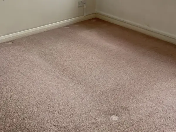 The same rooms emptied and the carpets swept