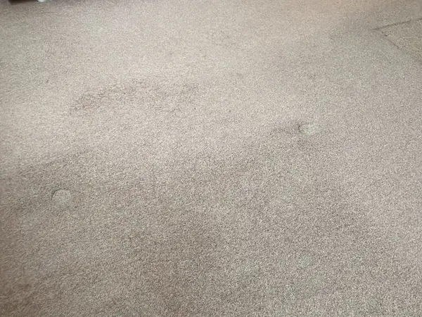 The same rooms emptied and the carpets swept
