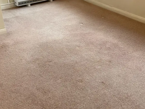 The same rooms emptied and the carpets swept