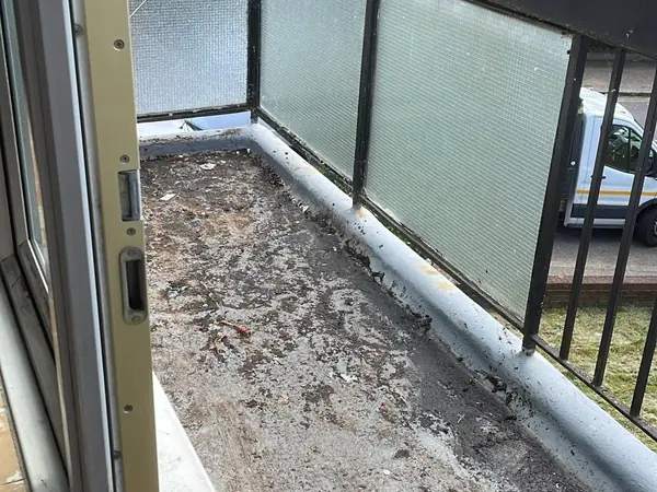 The same flat emptied and swept