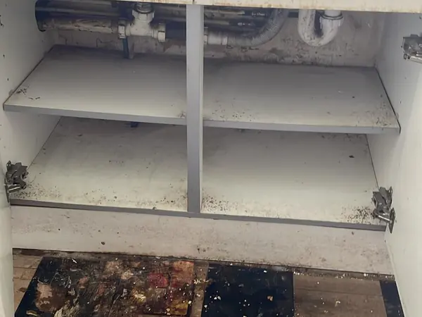 The same flat emptied and swept