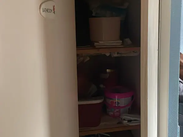 Hoarded flat before clearance