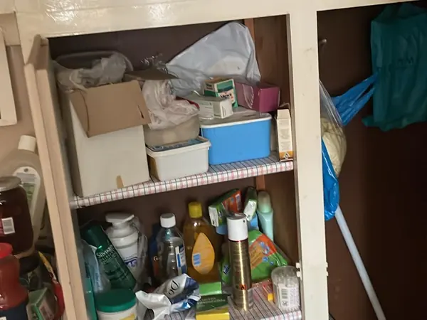 Hoarded flat before clearance
