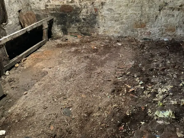 The same yard and workshop cleared