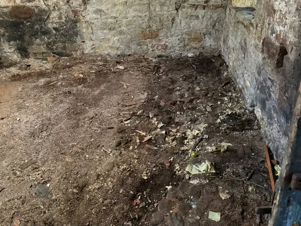 The same yard and workshop cleared