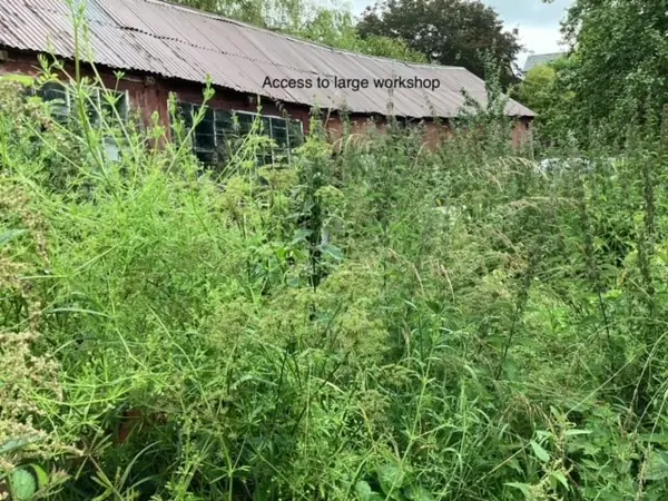 Overgrown yard and workshop before clearance